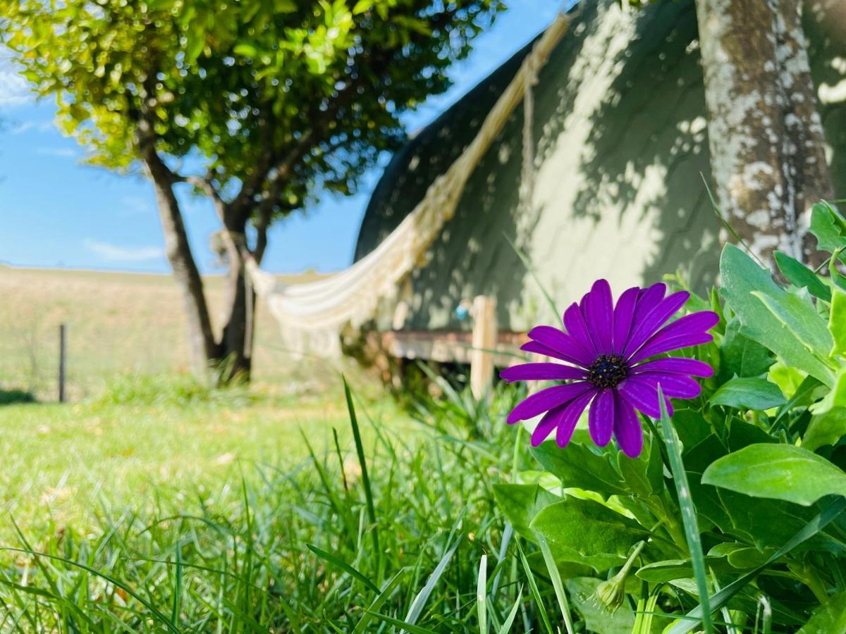 Affittacamere Glamping Turquesa, Feel And Relax In A Wood House Corredoura Esterno foto